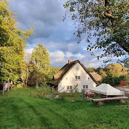 Freterg Holt, Nähe Binz In Traumhafter Alleinlage, Beirau&beirau Gbr *
