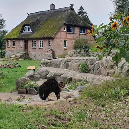 Apartment Freterg Holt, Nähe Binz In Traumhafter Alleinlage, Beirau&beirau Gbr Zirkow