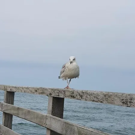 Freterg Holt, Naehe Binz In Traumhafter Alleinlage, Beirau & Beirau Gbr *