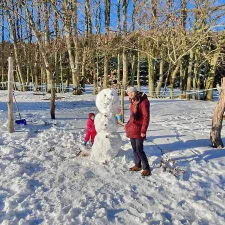Freterg Holt, Nähe Binz In Traumhafter Alleinlage, Beirau&beirau Gbr *
