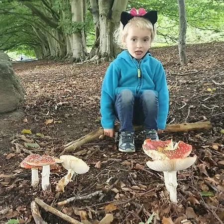 Freterg Holt, Nähe Binz In Traumhafter Alleinlage, Beirau&beirau Gbr Apartment